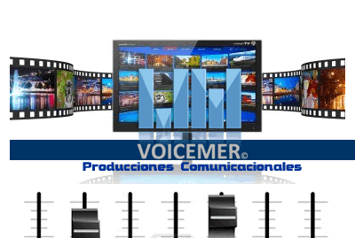voicevideo